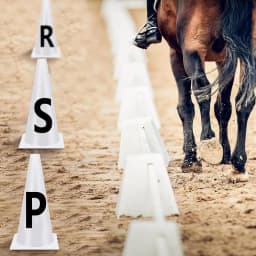 Horse Training Equipment Portable White Dressage Letter Cone Set Horse Training Equipment Stackable Sports Training Cone