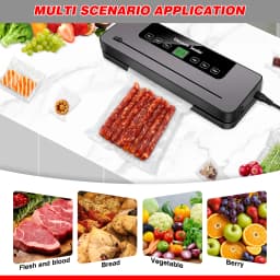 DayPlus Electric Sealing Machine Automatic Vacuum Sealer 60kpa Vacuum Food Sealer Dry Wet Packing With 10 Free Sealing Bags