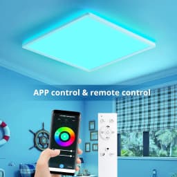Flush Mount Ceiling Light,RGB LED Smart Ceiling Light 24W 2400LM Smart Home Lighting LED Ceiling Light Dimmable Color Changing