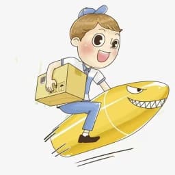Brazil VIP Express Payment Channel