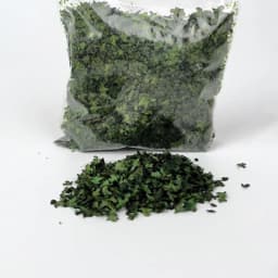 DIY Miniature Leaf 35ml Micro Landscape Leaves Static Model for Bonsai Fairy Garden Decor Sand Table Grass Tufts Accessories