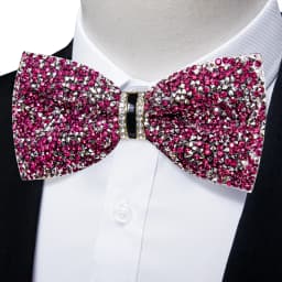 Shinny Rhinestone Diamond Bow Tie Pre-tied Bowknot for Wedding Prom Tuxedo Suits Black Red Green Butterfly Gift for Men