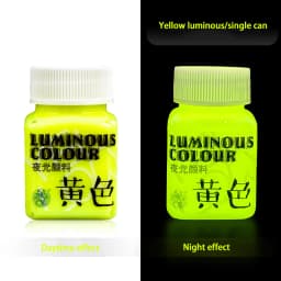 Fluorescent Acrylic Glow In The Dark Paint Brightness Luminous Student Hand Painted DIY Textile Wall Light Absorbing Pigment