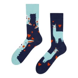 2024 Autumn 1 Pair Women Original AB Tide Socks Medium High Tube Colorful Socks Animal Flower Cotton Unisex Socks