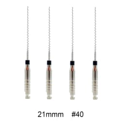5Box AG Dental Paste Carriers Root Filler Lentulo 21mm 25mm Assorted #25-40 Endodontics files Dental Instruments Channel Spiral