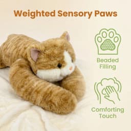50/60/65cm Long Arm Stuffed Animal Arm Weighted Soft Plush Pillow Raccoon Koala Bear Sloth Dinosaur Gift for Boys and Girls