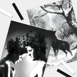 SAKURA Pastel Art Drawing Set Chalk Crayons Soft Dry Pastel 6/12 Black White Box Set for Students Art Supplies NCT Series