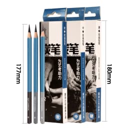 Master Specialized Sketch Charcoal, Hard, Neutral, Soft Refills, Drawing Pencils, Art Student Fine Arts Supplies 12 PCS Box