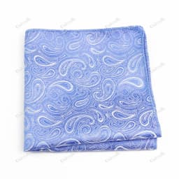 New Jacquard Paisley Pocket Square Classic Red Grey Blue 22cm Hankerchief Fit Business Wedding Party Stage Suit Hanky Gifts