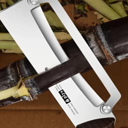 Stainless steel peeler with wooden handle for peeling and slicing fruits and vegetables | Durable and smooth operation