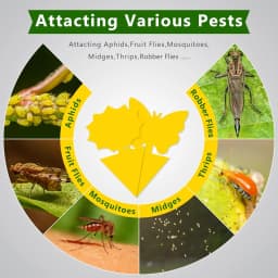 Landisun Fruit Fly Traps Fungus Gnat-Traps for Indoor-Outdoor Yellow Fruit-Fly Sticky-Trap Plants Flying Bug Insects Traps