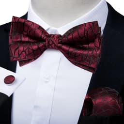Classic Black Men Bow Ties Bowties Butterfly Pocket Square Cufflinks Set Suit Paisley Gold Pre-Tied Bow Tie