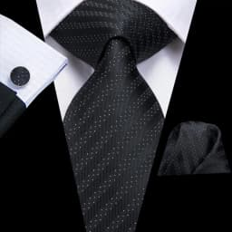 Hi-Tie 8.5cm Black Solid Striped Paisley Men's Business Tie Neck Tie for Men Fashion Luxury silk Wedding Necktie Gravatas