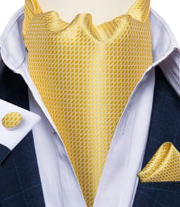 Jacquard Men Plaid Ascots Fashion Paisley Ties Wedding Formal Cravat Ascot British Gentleman Soft Polyester Luxury Gray Neck Tie
