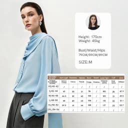 Amii Women's Blouse 2026 Autumn New V-Neck Elegant Long Sleeve Chiffon Top With Tie Neck Loose Flowy Shirt For Women 12653004