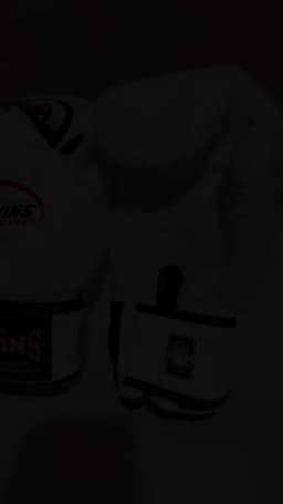 Boxing Gloves Eagle Eye Training Fighting Sanda Comprehensive Training Boxing Gloves Thickened Breathable Buffer Gloves