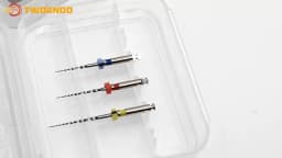 3 PCS/Pack Dental Niti Material Retreatment Files Rotary Files For Root Canal Cleaning Dentistry Endo Instrument