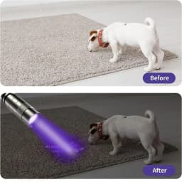 395nm UV Flashlight Ultraviolet Torch With Pen Clip Portable Violet Light Pet Urine Scorpion Detector UV Lamp Use AAA Batteries