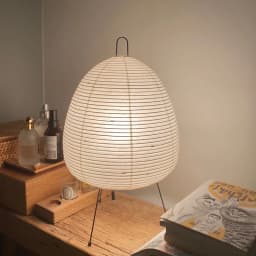 Nordic Wabi Sabi LED Desk Lamp, USB Powered Indoor Decor Light, Suitable for Living Room, Bedside, Bedroom & Dining Table