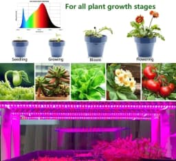 5V Plant Light Grow LED Strip 5V USB LED 1-5m Full Spectrum LED Chip For Greenhouse Flower Seedling Grow Tent Hydropon