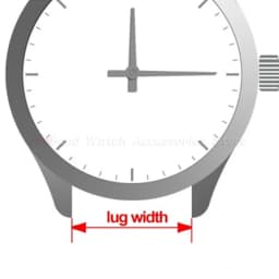 Watch Band Adapters 18mm To 22/22mm , 20mm 22mm To 18/20/22mm Quick Release Pins Lug Connectors Strap Spring Bars Accessories