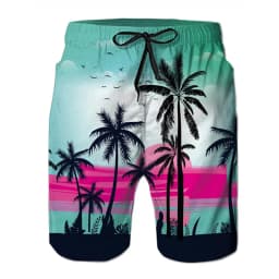 Fun Dinosaur and Cat Pattern Beach Shorts, Men's 3D Printed Animal Surfboard Shorts, Hawaiian Swim Trunks, Summer Shorts