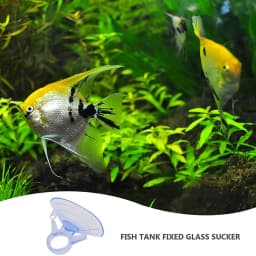 12 Pcs Air Plant Stand,Fish Tank Vacuum Suction Cups with for Plants Hanging on Glass Windshield Tile,Etc