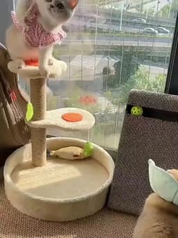 Cat scratching board, cat climbing frame integrated, universal in all seasons, wear-resistant and non-chip sisal column, vertica