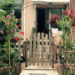 Metal Garden Arch Climbing Plant Trellis Outdoor Arbors Wedding Arch