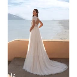 Plus Size Elegant Wedding Dresses V Neck Short Sleeves Lace And Tulle Empire Keyhole Back Beach Bridal Gowns Pregnant Customized