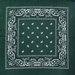 New Design Fashion Hip Hop Cotton Bandana Square Cashew Scarf Headband Tie Dye Black Red Paisley Gifts For Women/Men/Boys/Girls