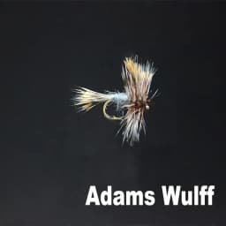 CONTEMPLATOR 4 Styles 14#16# Adam Series Flies 5pcs/Box Quintessential Dry Fly Adam Parachute Wulff Irresistible Fly Fishing Lur