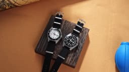 Watchdives WD1972 Quartz Watch VH31 Sweep Seconds Movement Sapphire Crystal BGW9 Luminous 20Bar Waterproof Vintage Men Watches