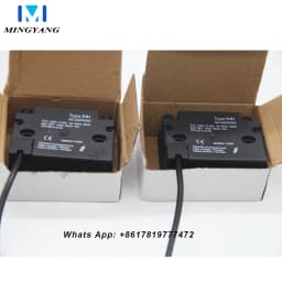 Igniter High Voltage Transformer Methanol Diesel Waste Oil Ignition Ceramic Ignition Needle High Voltage Continuous Ignition