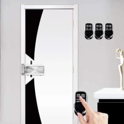 Tuya Wifi Remote Control Lock TTLock Smart Door Lock Wireless Bluetooth Smart Lock Invisible Deadbolt Hidden Keyless Locks