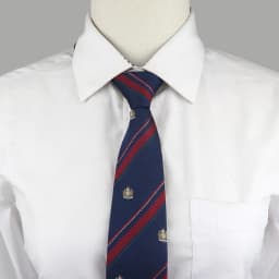 School Uniform Bow Tie Set For Boys Girls Polyester Plaid Striped British Slim Necktie Bowtie Party Student Children Accessories