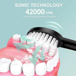 Adult Sonic Electric Toothbrush Ultrasonic Automatic USB Rechargeable IPX7 Waterproof Toothbrush Replaceable Tooth Brush Head