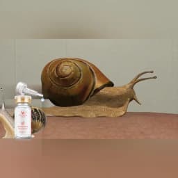 Pore Ampoule Snail 100% Essence Hyaluronic Acid Shrink Pores Original Solution Moisturizing Essence Rejuvenating Essence