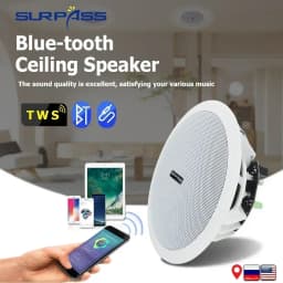 5.25 Inch Audience 10W Bluetooth Ceiling Speakers Built In Digital Class D Amplifier Bluetooth Speaker for Indoor Outdoor Camper