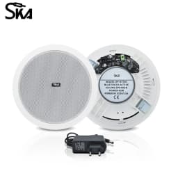 10W 6inch Bluetooth Ceiling Speakers Home Audio System BT In Ceiling Speaker Built In Digital Class D Amplifier for Home Theater