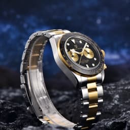 PAGANI DESIGN Men's Watch Panda Chronograph Luxury Quartz Wrist Watches Japanese Movement Sapphire Mirror 10Bar Waterproof Clock