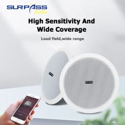 Built-in Class-D Amplifier Full Range Bluetooth-compatible Ceiling Speaker Horn For Home Theater Background Music Good Quality