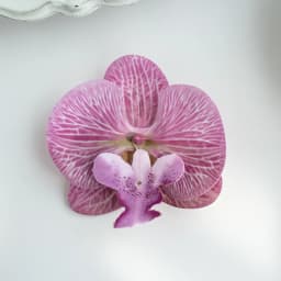 Thai Butterfly Orchid Artificial Flowers Hot selling items christmas Wedding Bridal Accessories Headwear and hair clips Diy gift