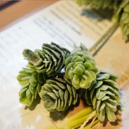 30Pcs/Bundle Fake Green Plant Cheap Artificial Plastic Flowers for Home Table Decorative Wedding Christmas Diy Candy Gift Box
