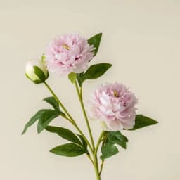 Beautiful Artificial 3 Heads Peony Flowers Long Branch For Home Wedding Table Christmas Decoration 75cm Fake Flower Room Decor
