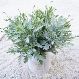 5pcs Chrysanthemum Leaf Artificial Flower Plant for Home Wall Vase Wedding Photography Decoration Christmas Wreath DIY Gift Box