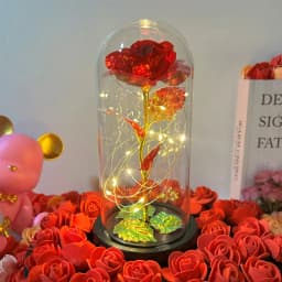 Artificial Glass Flower with Eternal Rose of the LED Light for Women Beauty and Beast Rose Birthday Gifts for Girls Christmas