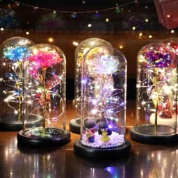 Artificial Glass Flower with Eternal Rose of the LED Light for Women Beauty and Beast Rose Birthday Gifts for Girls Christmas