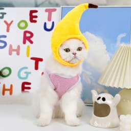 Kitten Funny Hat for Cat Cosplay Dress Up Clothes Cute Pet Hat Photo Prop Universal Puppy Cat Cap for Halloween Christmas Party