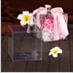 10pcs Wholesale NewClear PVC Box Packing Wedding/Christmas Favor Chocolate Candy Apple Gift Event Transparent Box/Case